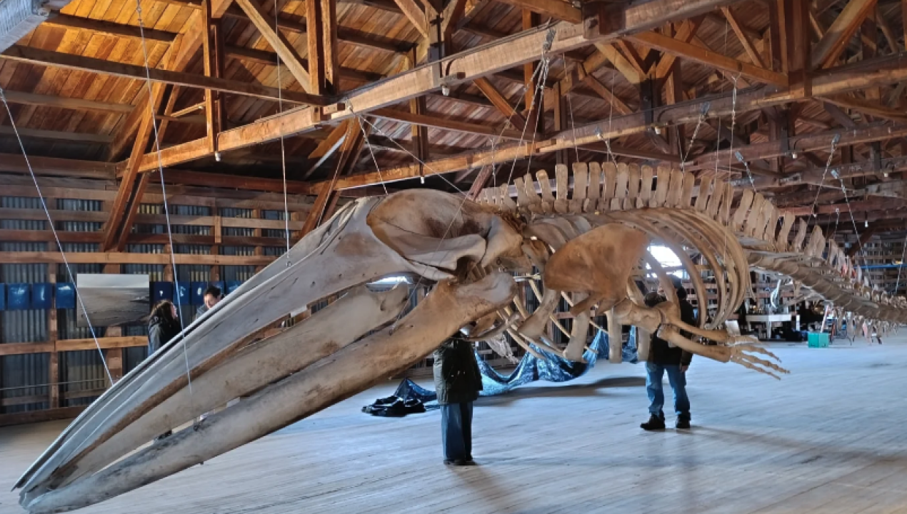 /magallanes-en-100-palabras-celebra-el-dia-de-la-ninez-con-una-jornada-de