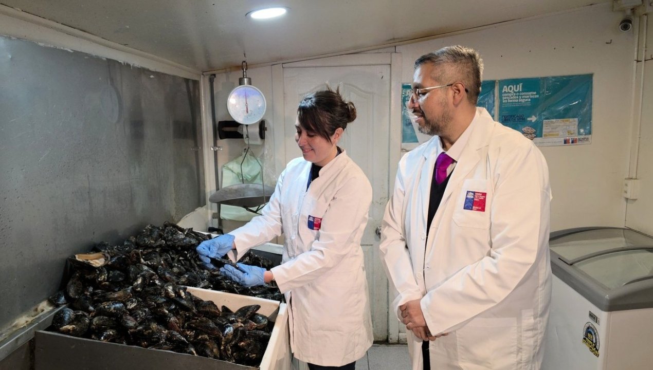 /seremi-de-salud-magallanes-refuerza-fiscalizacion-de-pescaderias-y-llamado