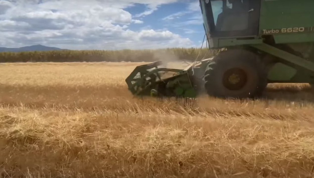 /internacional/europa/rusia/rusia-cancela-acuerdo-del-grano-con-ucrania-minagri-dice-que-nos-afectara