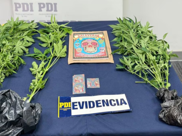 Venían desde México: Incautan 300 estampillas con LSD en Aeropuerto Internacional